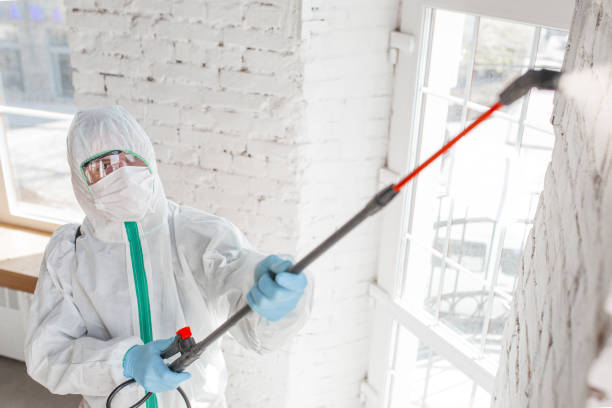 Professional Mold Removal in Algona, WA